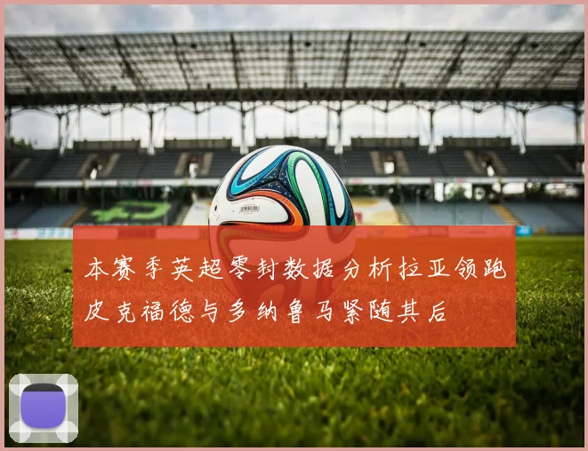本赛季英超零封数据分析拉亚领跑皮克福德与多纳鲁马紧随其后