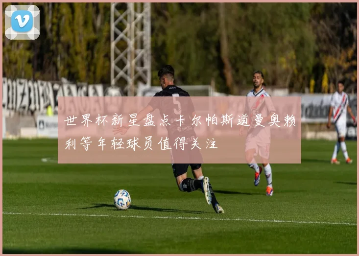 世界杯新星盘点卡尔帕斯道曼奥赖利等年轻球员值得关注